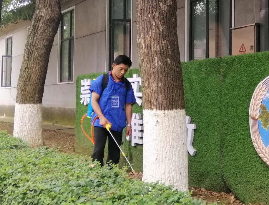 江堤大坝水库水利白蚁治理