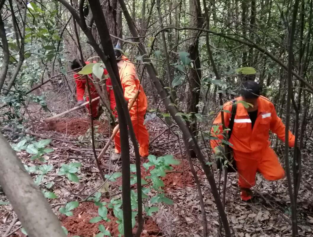 白蚁防治实景图