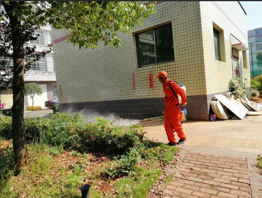 读懂白蚁，识别家中不易察觉的蚁患信号