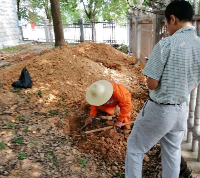 白蚁防治实景图