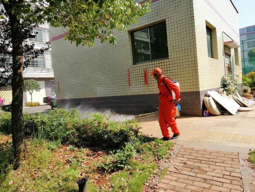 白蚁无声毁家，这些危害不可忽视