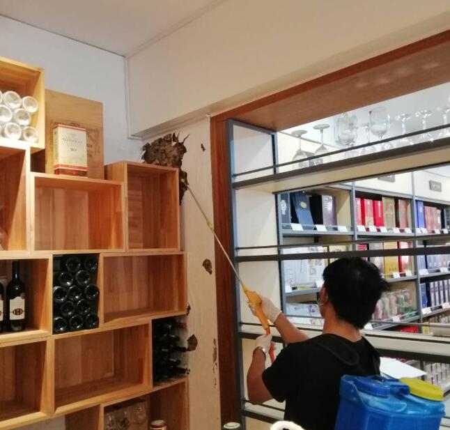 专业白蚁治理机构的核心价值，告别虫害困扰