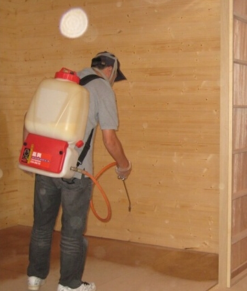 隐形的房屋“杀手”——白蚁的危害不可小觑